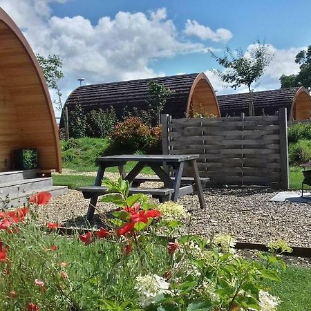 Buttercup Glamping Pod Hotel Cheltenham Exterior foto